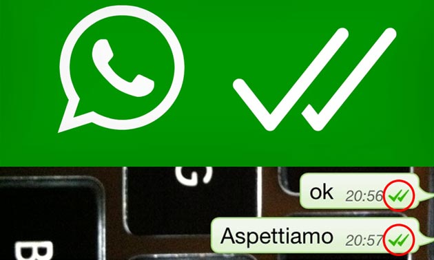 WhatsApp, arriva la conferma di effettiva lettura